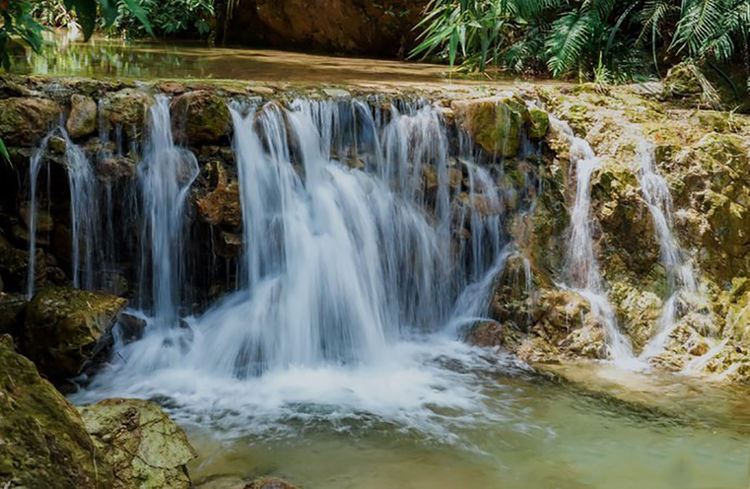 佛山南海湾森林生态园tips