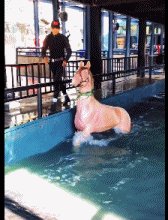 每日有趣gif图片翘二郎腿的大象～|狗|大象_新浪新闻