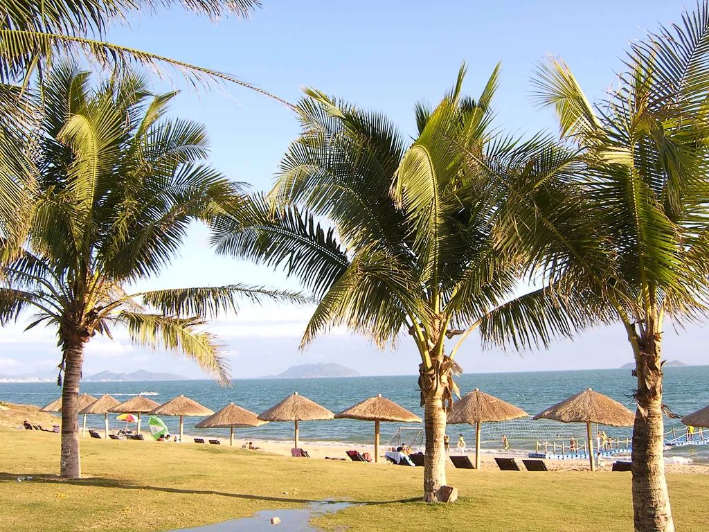 今年最恶心的热搜，没有之一