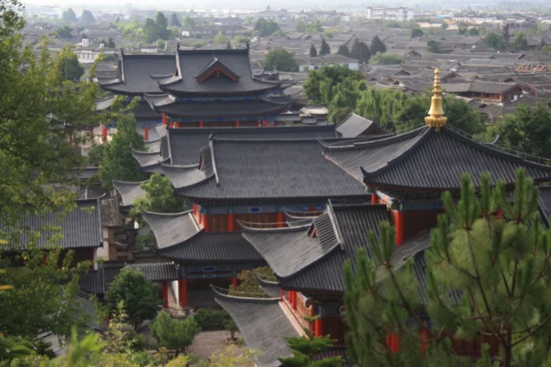 图源:丽江日报