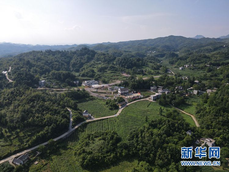 大方县山村里的小超市——微观贵州毕节基层治理新探索
