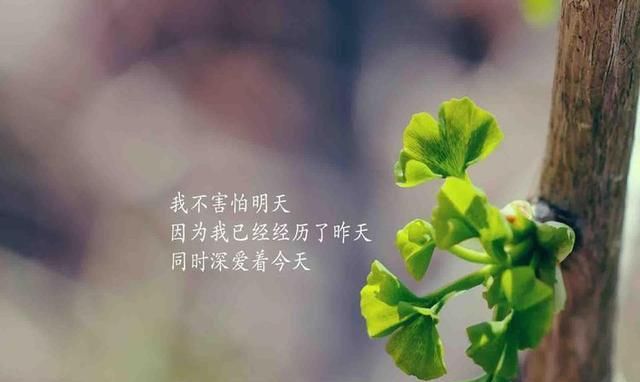 时间,会沉淀最真的情感