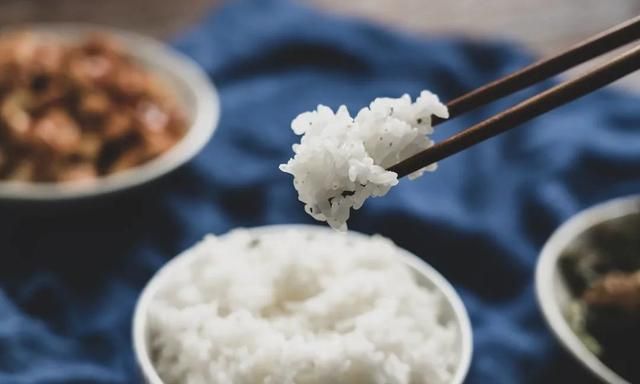 中国绿色生态农业网