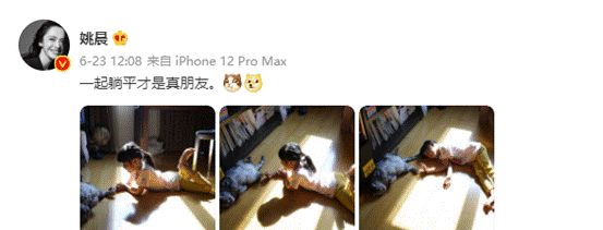 姚晨女儿逗猫照万人点赞!猫是育儿神器,养猫对孩子的10大好处