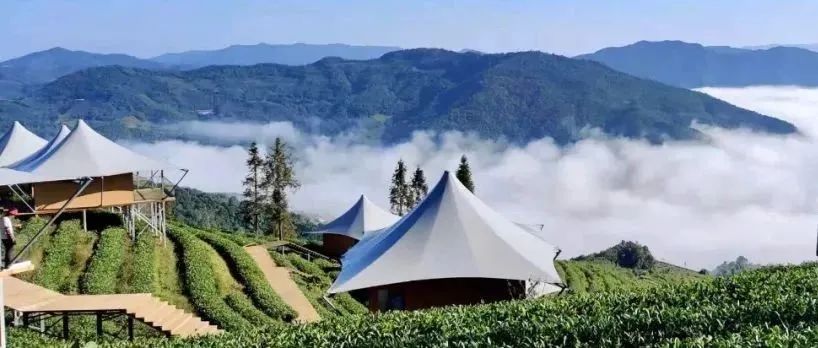 普洱半山酒店韩成圆摄
