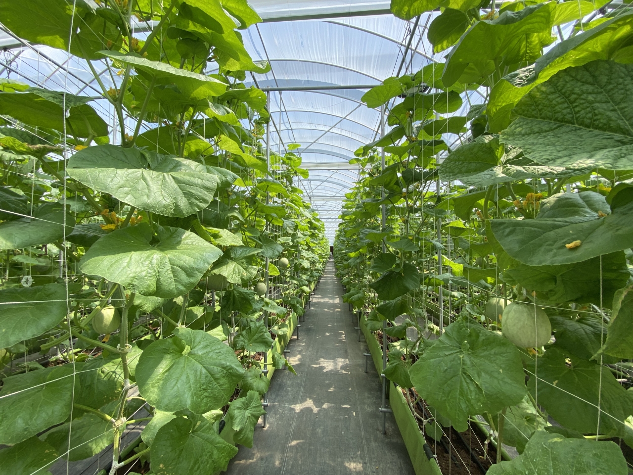 高水平科技自立自强创新享未来