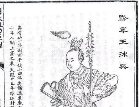 华为的拉维尼亚克图书馆是什么意思?