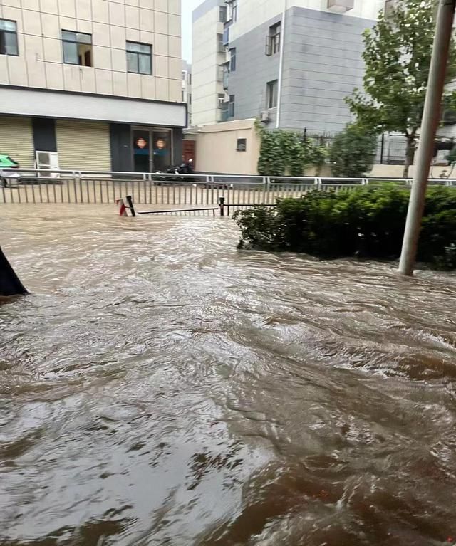 亲历郑州水灾,看着他们在水中挣扎,却不敢迈出一步