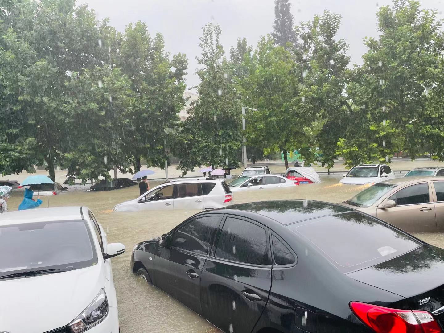 徐女士所工作的园区被雨水淹没,路上的车辆也被淹了一半。图片由受访者提供