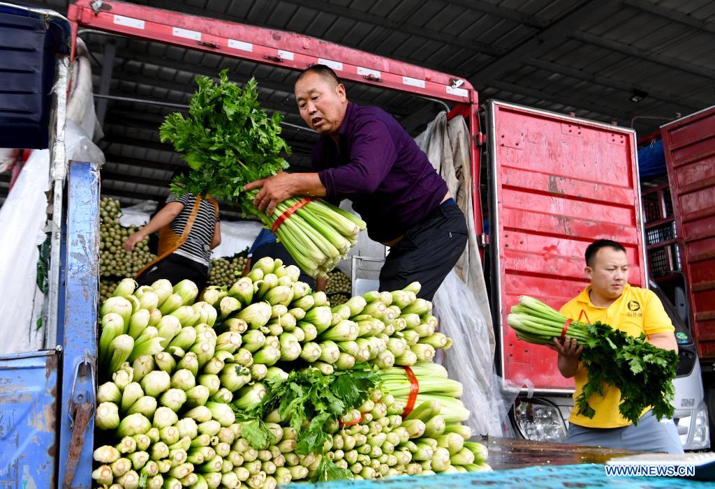 Staff members transfer vegetables at a logistic center in Zhongmu County of Zhengzhou, central China's Henan Province, July 22, 2021. Various measures have been taken to ensure supply of agricultural products in Zhengzhou, which was swamped by flood recently caused by heavy rainfall. At present, the supply of vegetables has been adequate with stable price. (Xinhua/Hao Yuan)