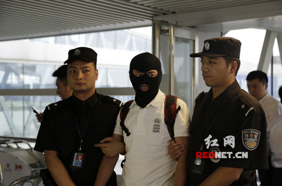 2015年6月3日,祁文举被押解回国。红网 图