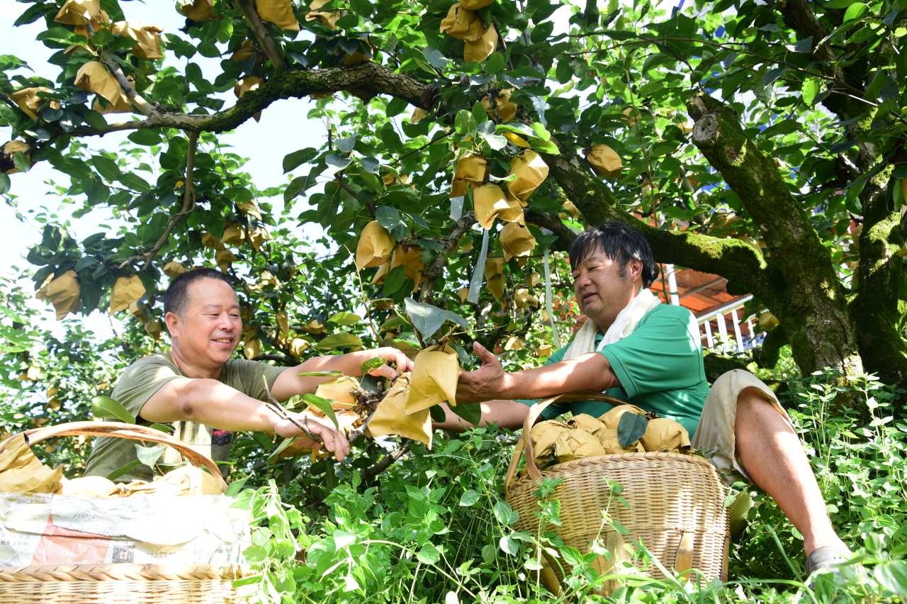 早读社丨被洪水“冲跑”的气象局长 到底经历了什么?休闲区蓝鸢梦想 - Www.slyday.coM 早读社丨被洪水“冲跑”的气象局长 到底经历了什么?休闲区蓝鸢梦想 - Www.slyday.coM