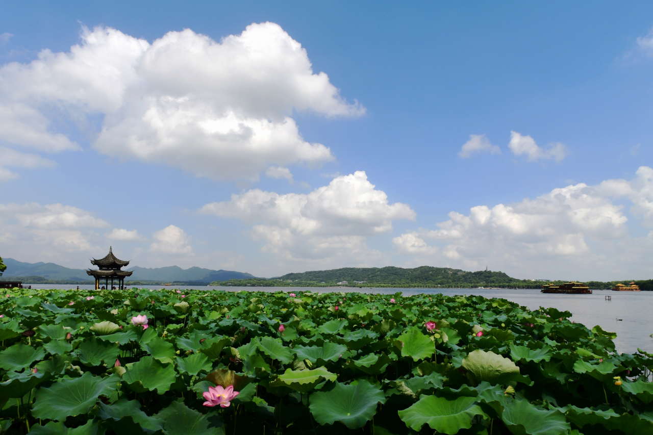 早读社丨被洪水“冲跑”的气象局长 到底经历了什么?休闲区蓝鸢梦想 - Www.slyday.coM 早读社丨被洪水“冲跑”的气象局长 到底经历了什么?休闲区蓝鸢梦想 - Www.slyday.coM