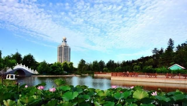 作为河北的小城市,河北沧州为什么被称为"狮城"?