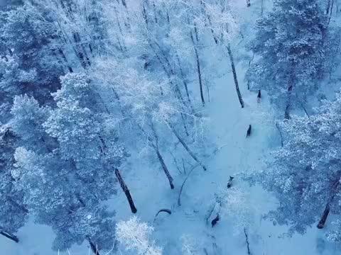 关于一首动人的歌：我可能不会爱你 - 下载及背后故事揭秘 (关于一首动人的歌)