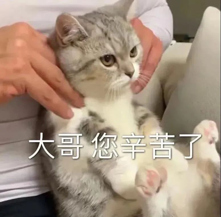 沙雕表情大哥您辛苦了