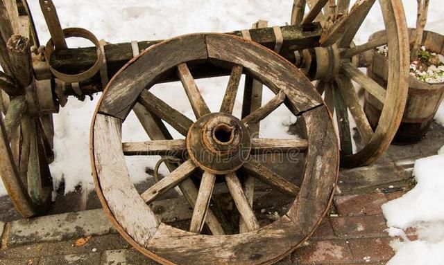 轮子的效率最高，速度最快，为什么人类却没有进化出轮...