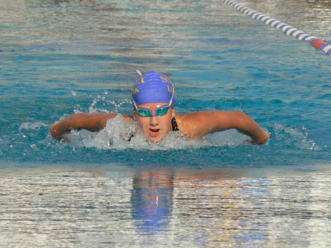 恭喜中国队蝶泳摘银!题外话:为什么狗刨不能进奥运?休闲区蓝鸢梦想 - Www.slyday.coM 恭喜中国队蝶泳摘银!题外话:为什么狗刨不能进奥运?休闲区蓝鸢梦想 - Www.slyday.coM