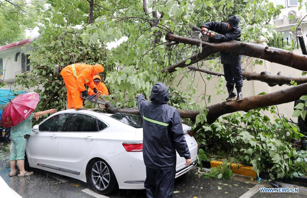 Staff members remove a fallen tree downed by gales at a residential area in Minhang District, east China's Shanghai, July 25, 2021. Typhoon In-Fa, which made landfall in east China's Zhejiang Province at around Sunday noon, will make another landfall in coastal areas from Pinghu in Zhejiang Province to Pudong in Shanghai, according to the National Meteorological Center. (Xinhua/Fang Zhe)