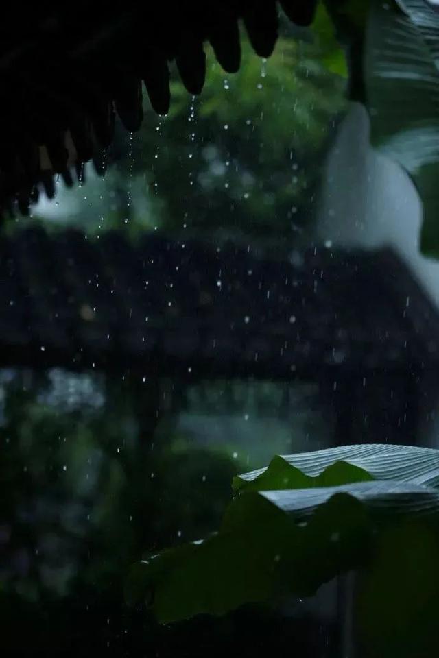 下雨天,随处都是景,怎么拍出意境?