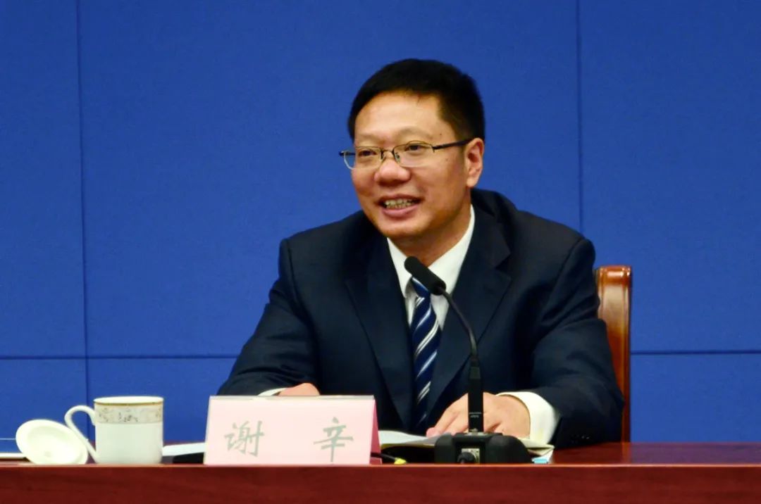 谢辛介绍相关情况  龚浩月 摄