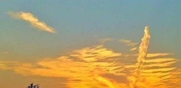 含硒食物排行榜_湖北出台首个含硒食品地方标准今年11月起实施(2)