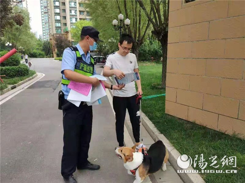 防溺水,防火灾,文明养犬,浐灞公安提升社会治安环境水平