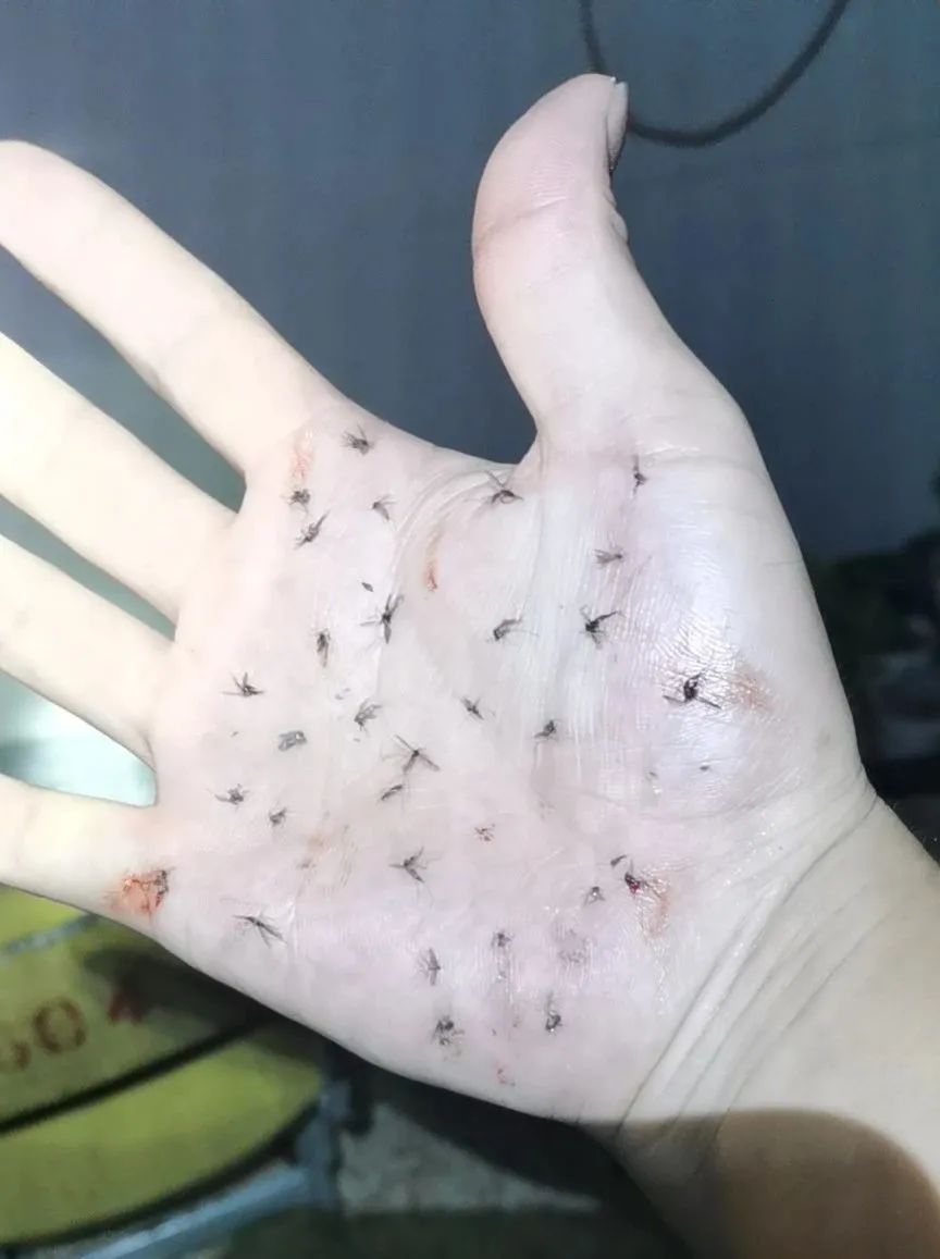 记者在朋友圈刷到一张   "密集恐惧症慎点"的照片!