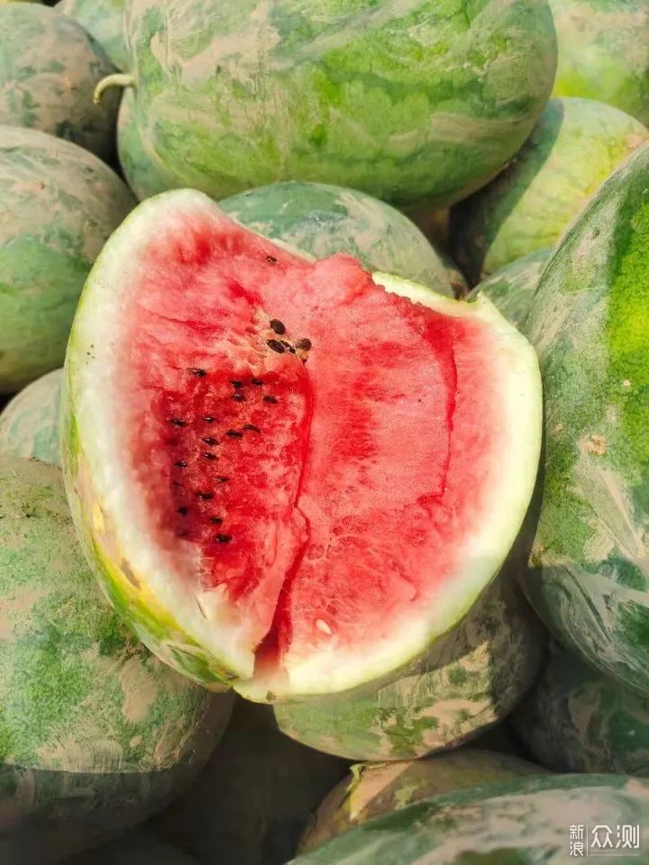 怎么挑选西瓜皮不厚 cd71-e49cc73c3aefa81d3b00d4f5bd5f7833.jpg