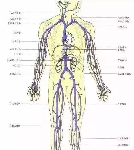 拉开身上"筋结",体内百病去,8至80岁都适用,简单有效