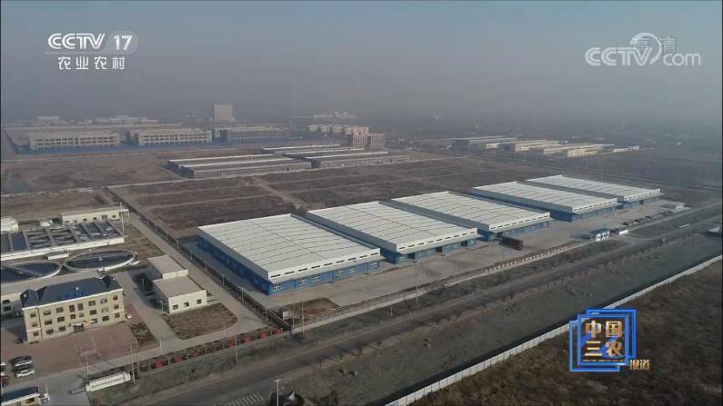 央视《中国三农报道》关注德州庆云 盐碱地上“长出”体育产业集群休闲区蓝鸢梦想 - Www.slyday.coM 央视《中国三农报道》关注德州庆云 盐碱地上“长出”体育产业集群休闲区蓝鸢梦想 - Www.slyday.coM