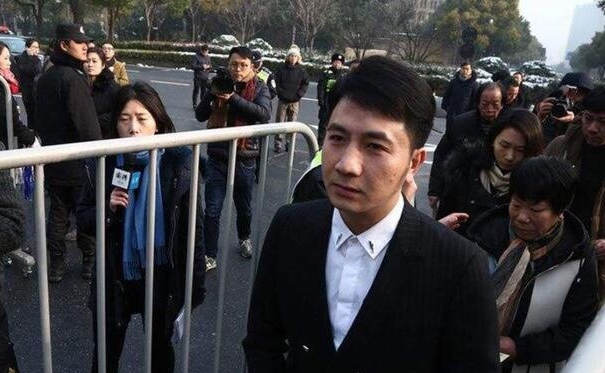 林生斌正式被调查！与保姆的关系、4岁儿子、偷税漏税等都已查明