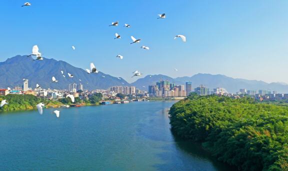 广西昭平:传递绿色生态名片 描绘全域旅游色彩