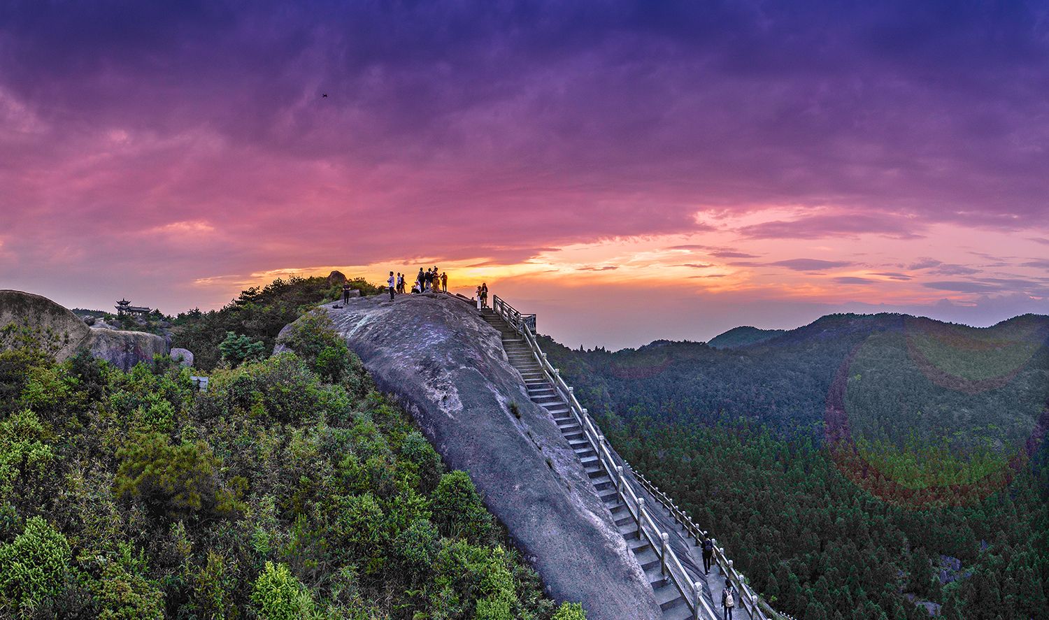 桜庭忠親 山景 良質
