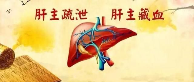中医认为肝主情志,人的精神情感状态会对肝脏健康产生影响.