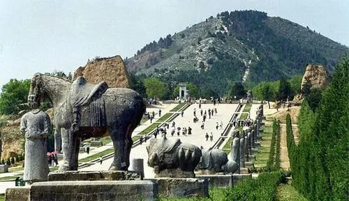 九道门数据分析学习day20