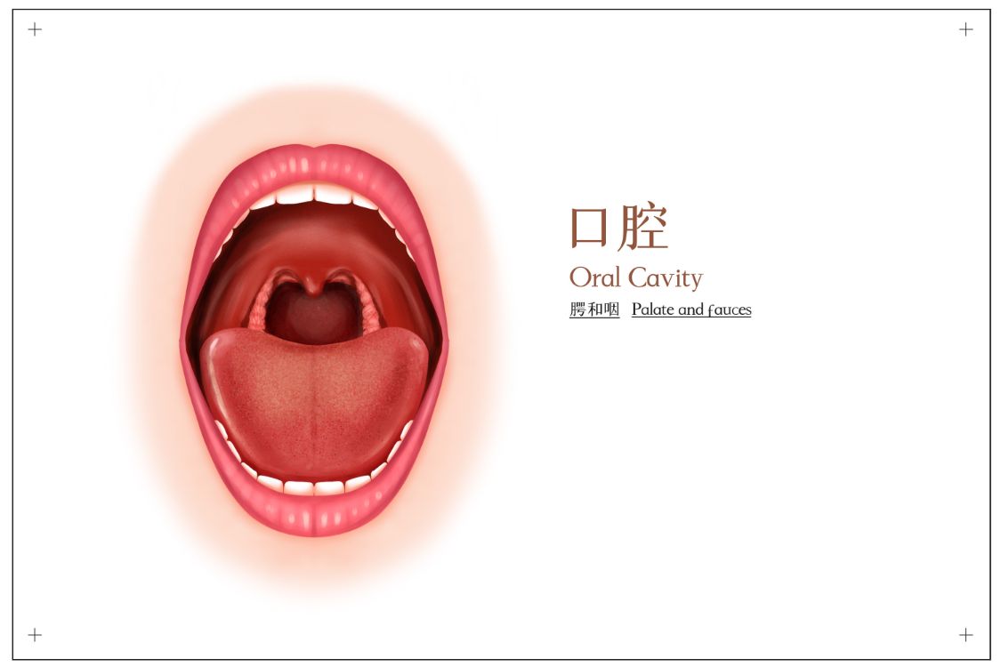 男性注意嘴巴里也可能会感染hpv