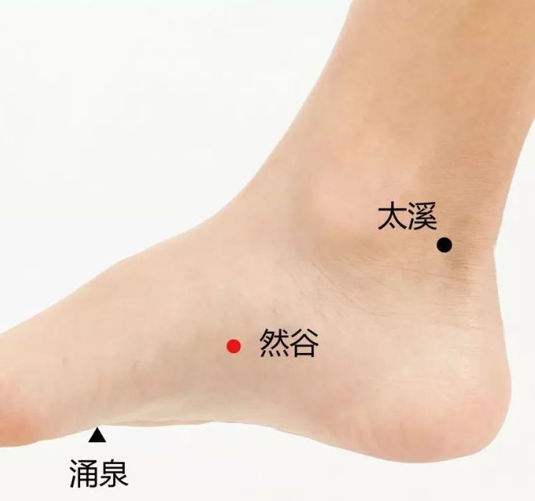 另外,中医说肝主筋,肝之筋脉环绕阴器,前阴为宗筋汇聚之所,所以前列腺