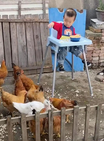 奶奶一边喂鸡一边喂娃，网友笑趴了。隔代育儿3个原则父母要把关