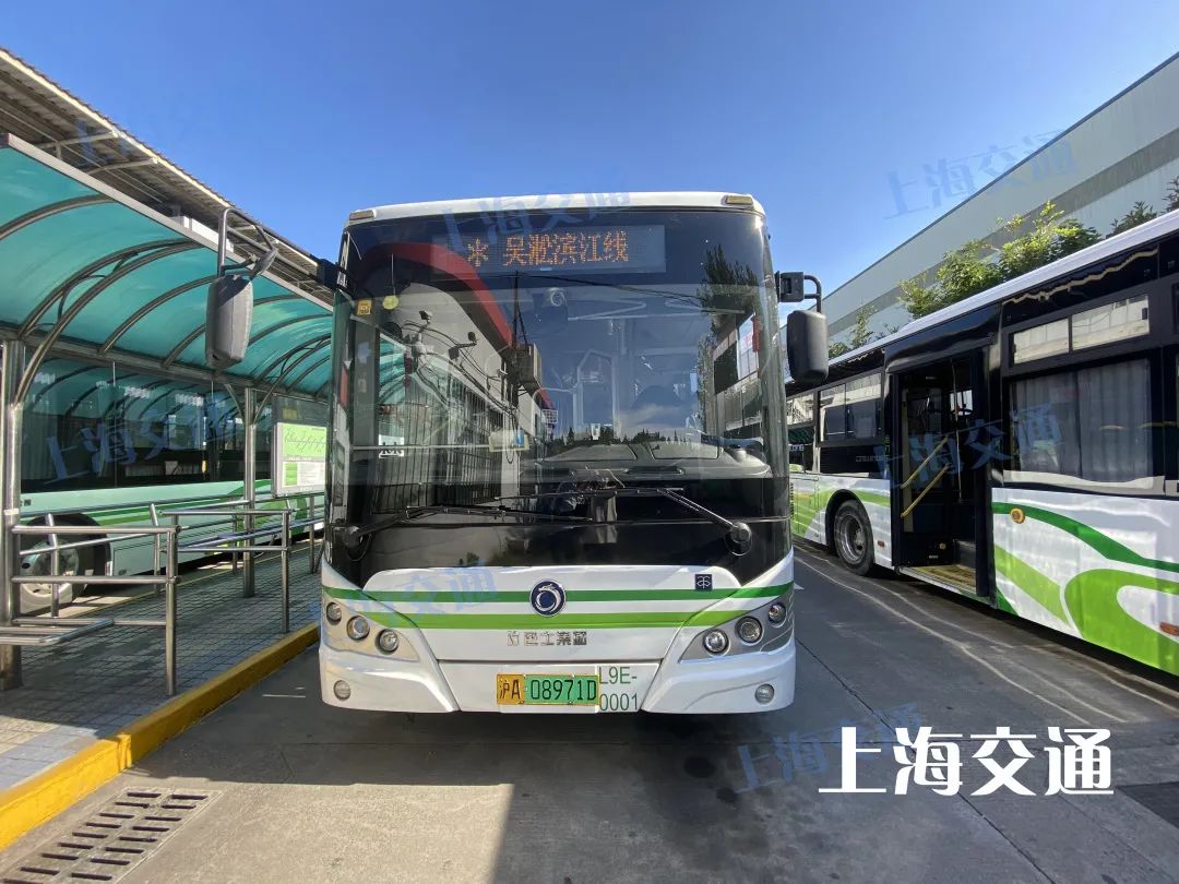 绿的红的黄的蓝的黑的白的粉的上海公交车色号指南请收好