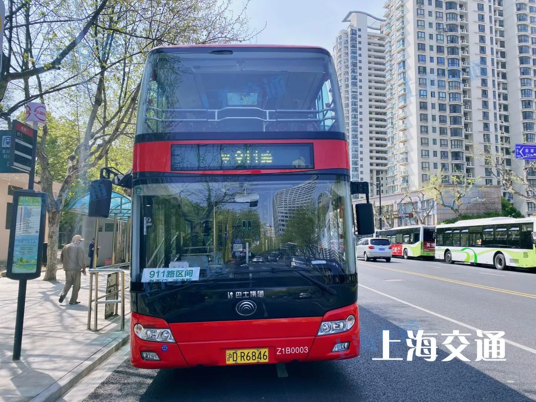 绿的红的黄的蓝的黑的白的粉的上海公交车色号指南请收好