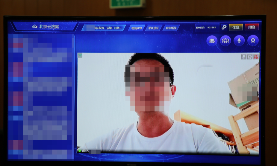 北京一男子非法网购2只鹦鹉, 1只“出逃”,邻居捡到后报警休闲区蓝鸢梦想 - Www.slyday.coM 北京一男子非法网购2只鹦鹉, 1只“出逃”,邻居捡到后报警休闲区蓝鸢梦想 - Www.slyday.coM