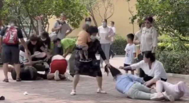 北京野生动物园游客打架有薅有踹,“打架不好”公告火遍全球休闲区蓝鸢梦想 - Www.slyday.coM 北京野生动物园游客打架有薅有踹,“打架不好”公告火遍全球休闲区蓝鸢梦想 - Www.slyday.coM