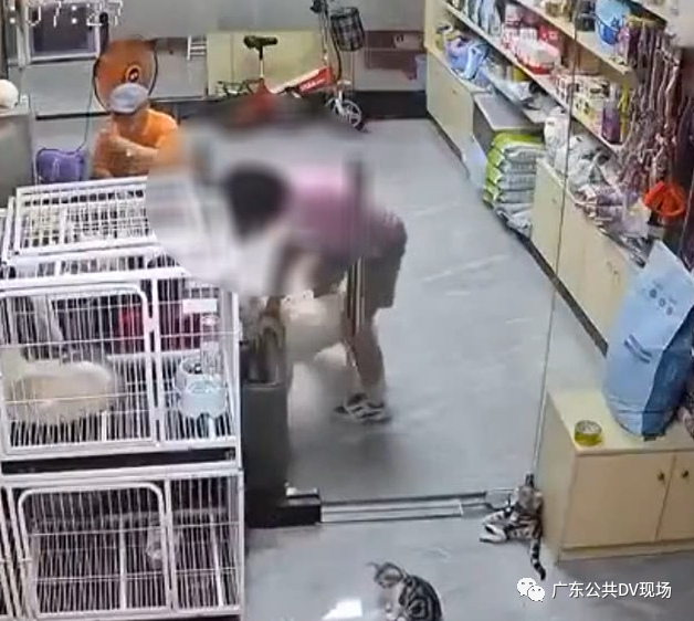 女孩宠物店内推门夹死小猫被网暴,店长发声休闲区蓝鸢梦想 - Www.slyday.coM 女孩宠物店内推门夹死小猫被网暴,店长发声休闲区蓝鸢梦想 - Www.slyday.coM