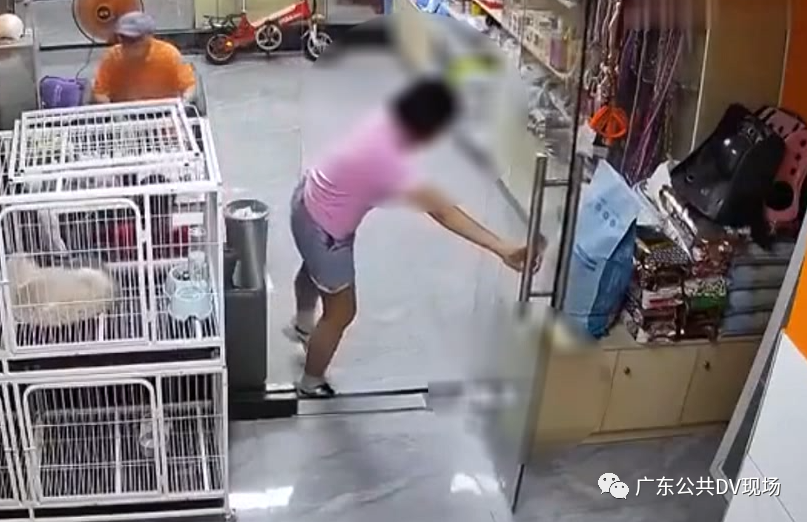 女孩宠物店内推门夹死小猫被网暴,店长发声休闲区蓝鸢梦想 - Www.slyday.coM 女孩宠物店内推门夹死小猫被网暴,店长发声休闲区蓝鸢梦想 - Www.slyday.coM