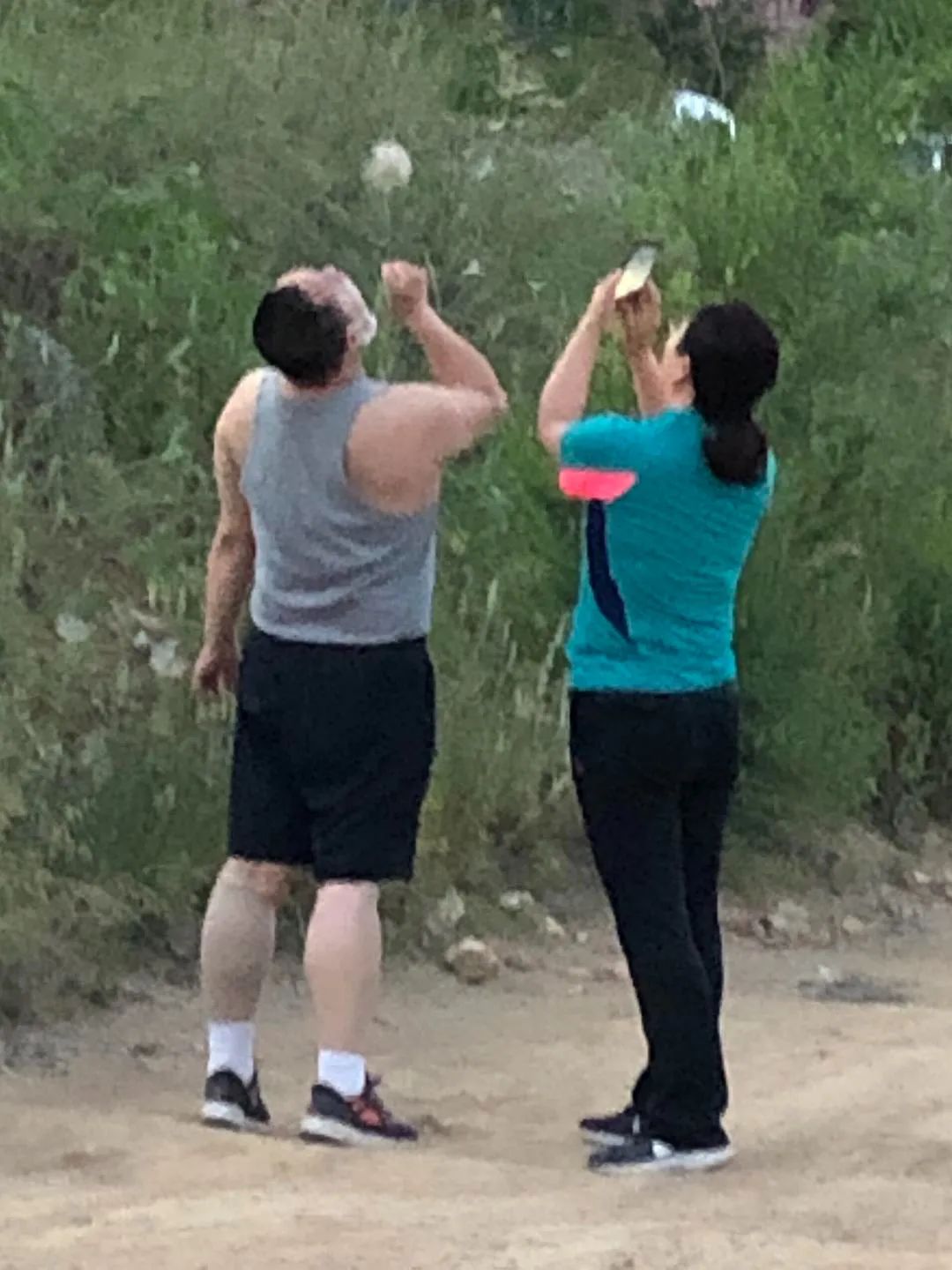 和流星雨一起降落的,有这些人间美好休闲区蓝鸢梦想 - Www.slyday.coM 和流星雨一起降落的,有这些人间美好休闲区蓝鸢梦想 - Www.slyday.coM