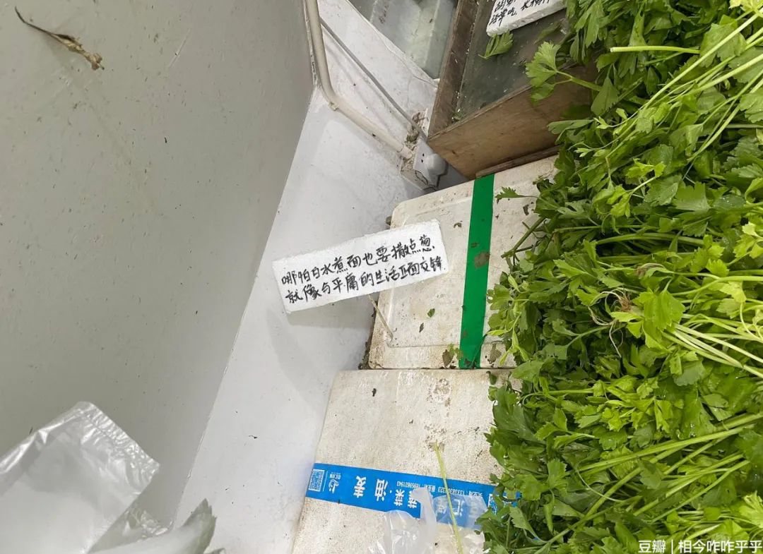 和流星雨一起降落的,有这些人间美好休闲区蓝鸢梦想 - Www.slyday.coM 和流星雨一起降落的,有这些人间美好休闲区蓝鸢梦想 - Www.slyday.coM