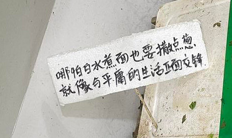 和流星雨一起降落的,有这些人间美好休闲区蓝鸢梦想 - Www.slyday.coM 和流星雨一起降落的,有这些人间美好休闲区蓝鸢梦想 - Www.slyday.coM