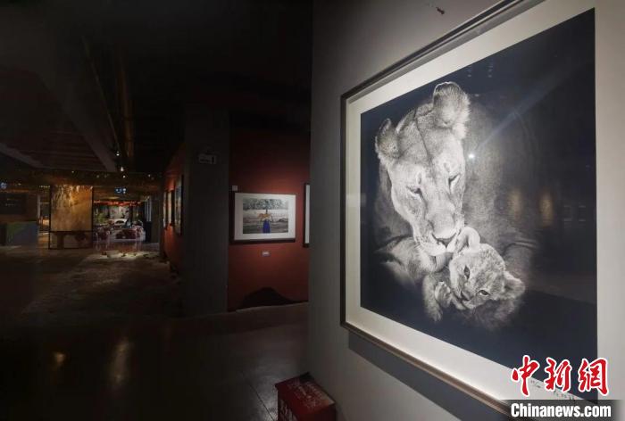 图为影会现场。　大理国际影会组委会提供