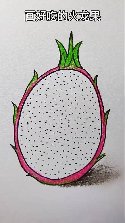 火龙果这样画,秒会%简笔画